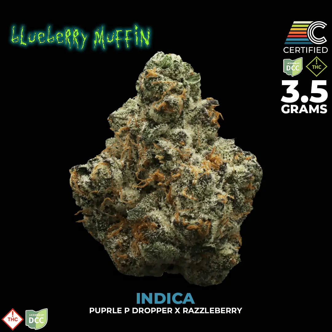 CERTIFIED – Blueberry Muffin #3