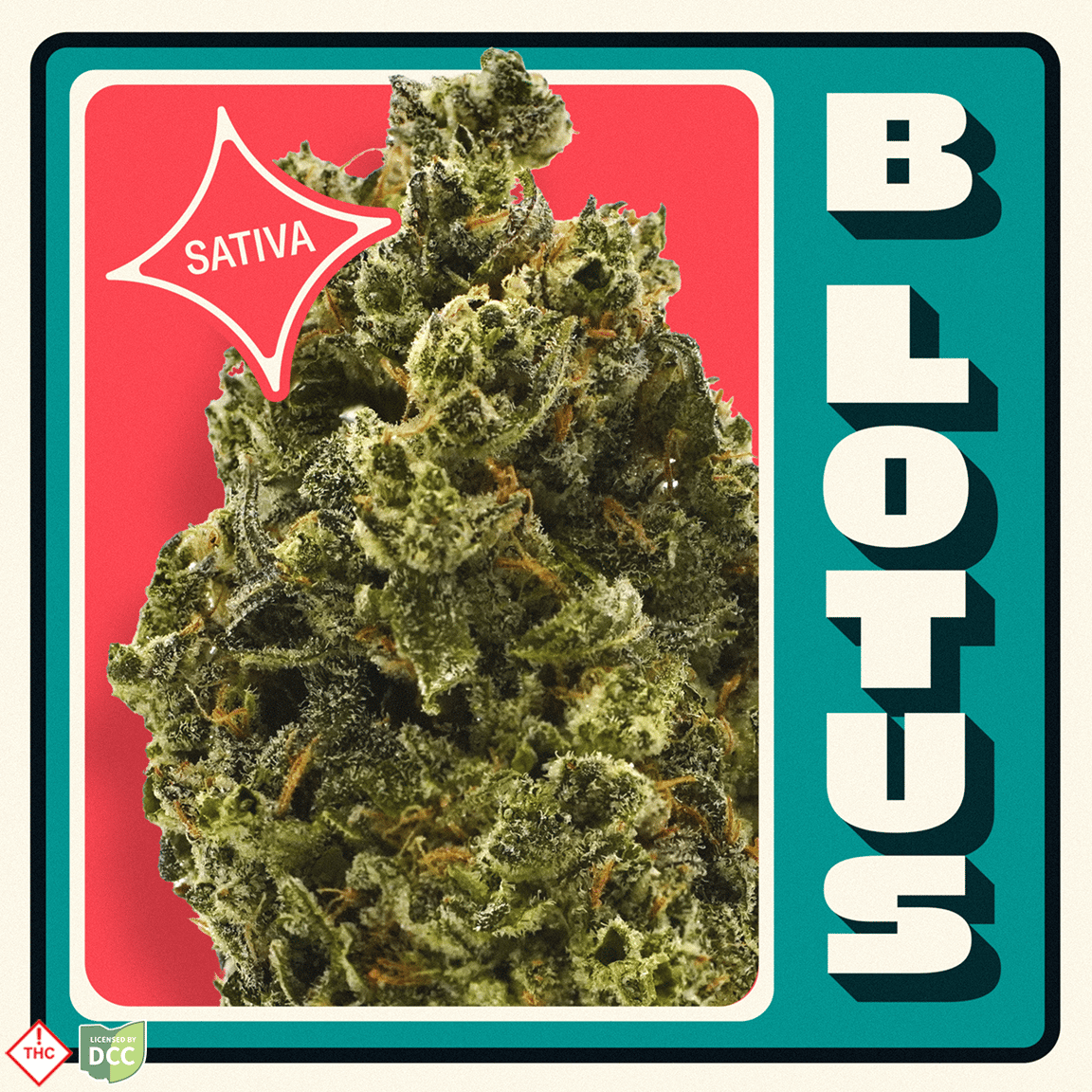 Neighborgoods – B Lotus