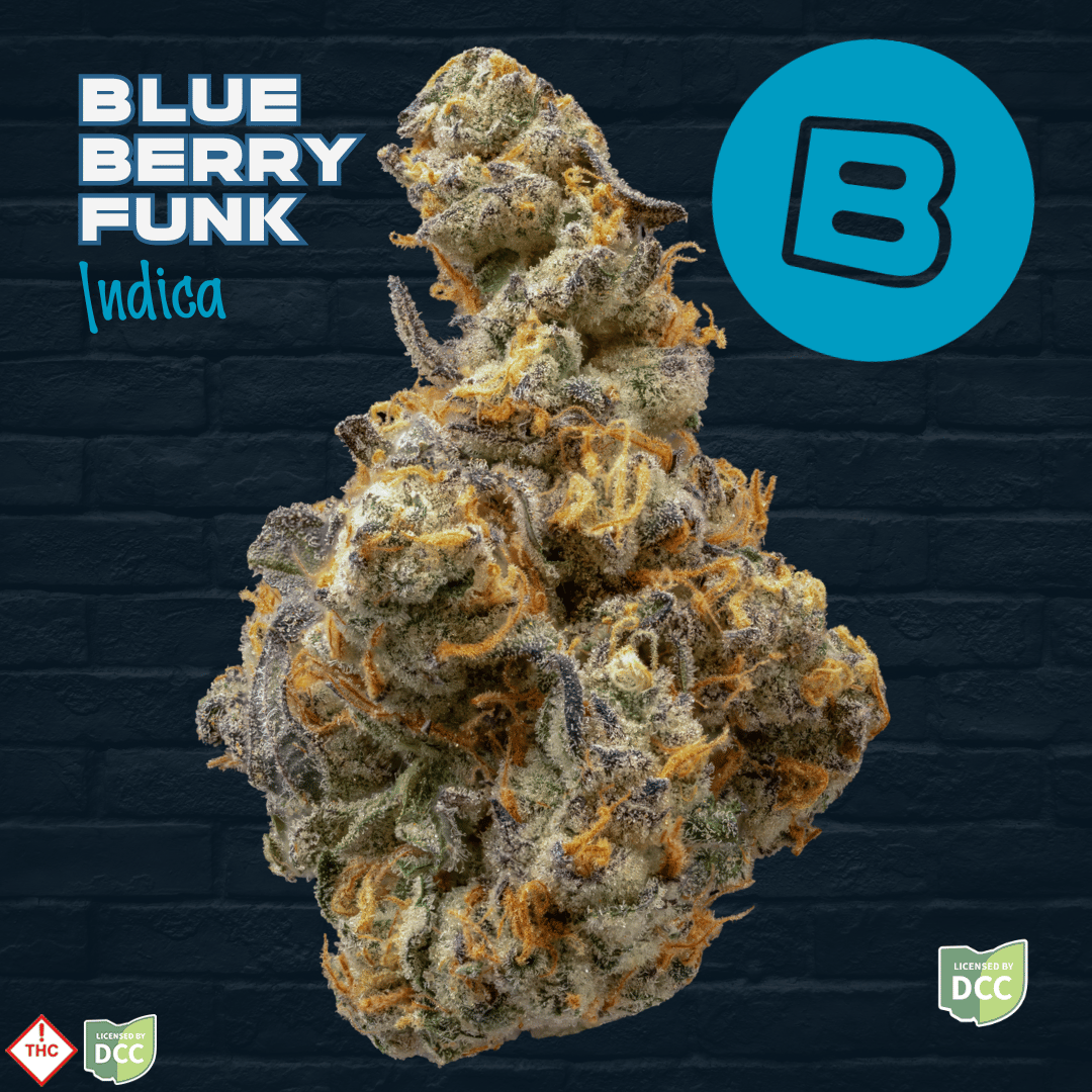 Buckeye – Blueberry Funk