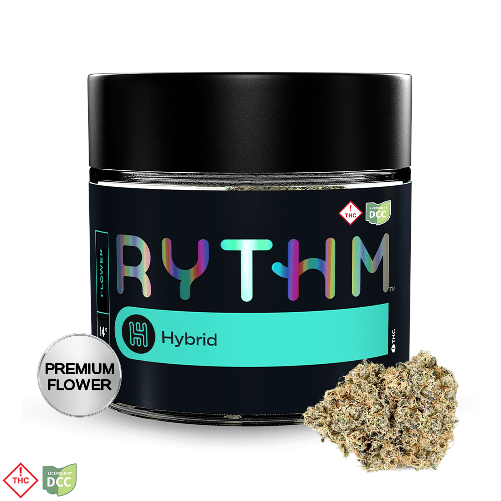 RYTHM – Velcroz