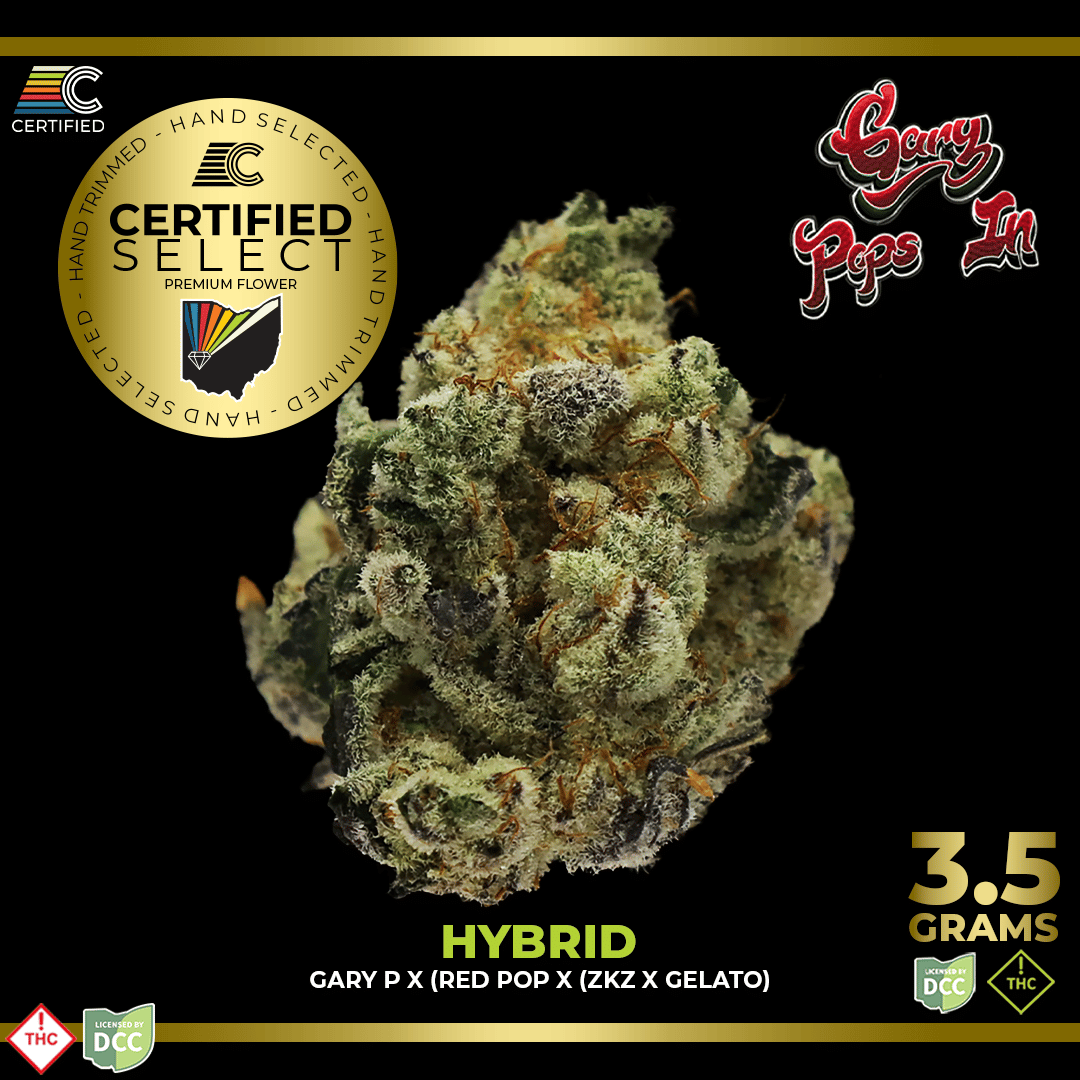 CERTIFIED – Gary Pops In