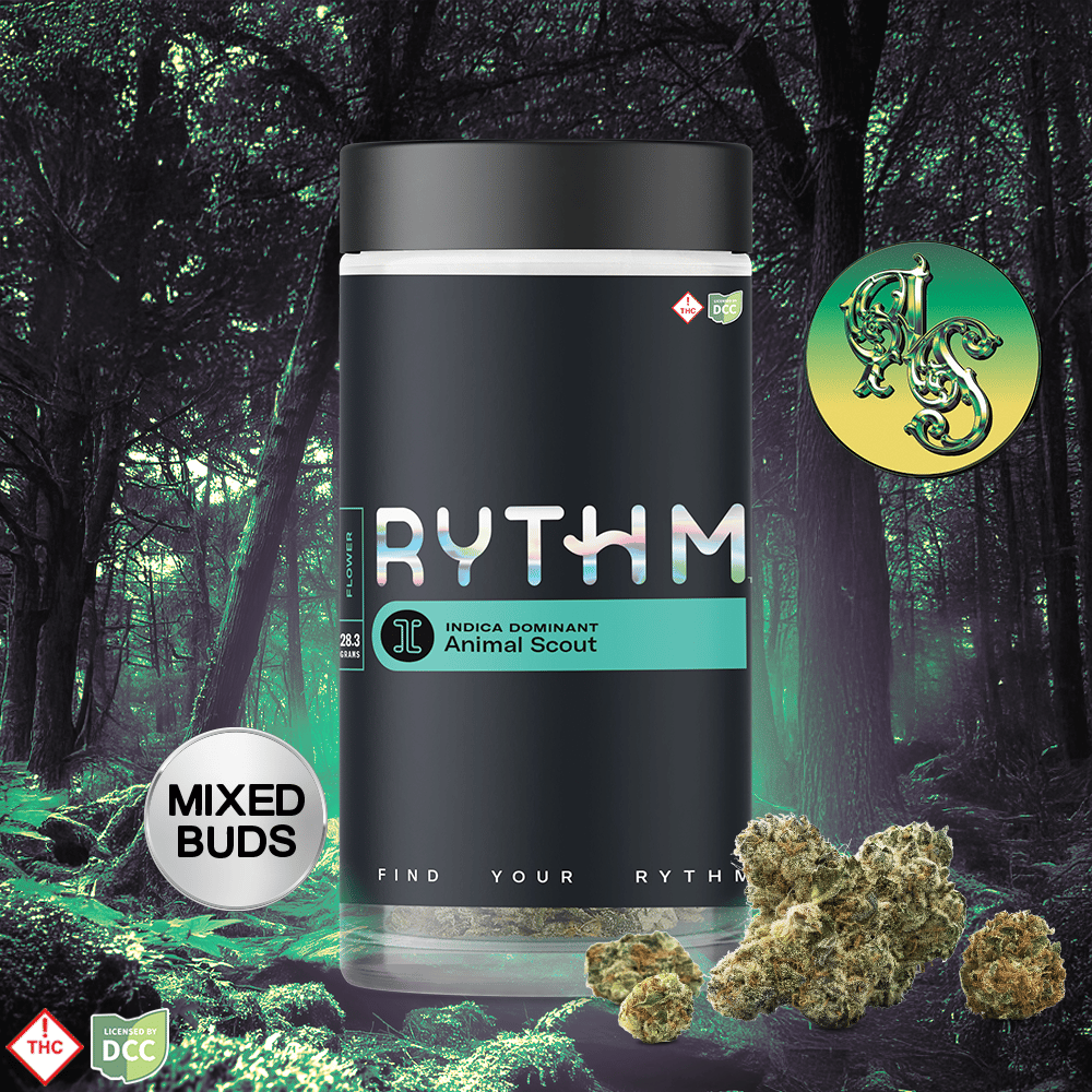 RYTHM – Animal Scout