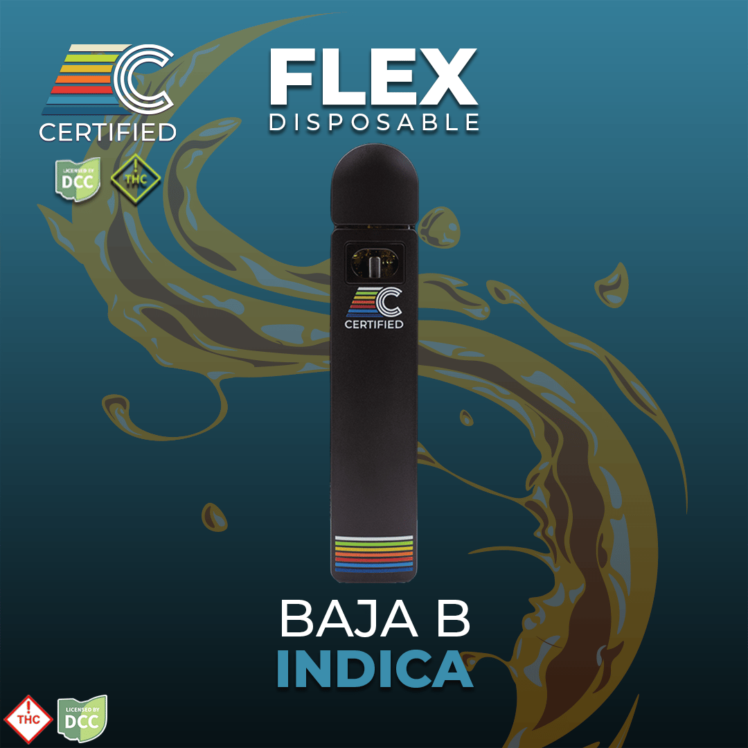 CERTIFIED – Baja B [1g]