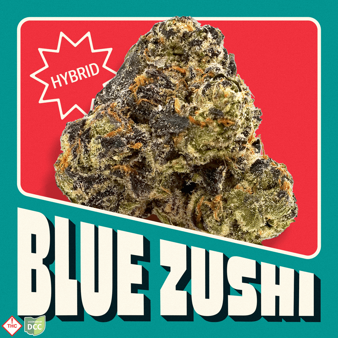 Neighborgoods – Blue Zushi