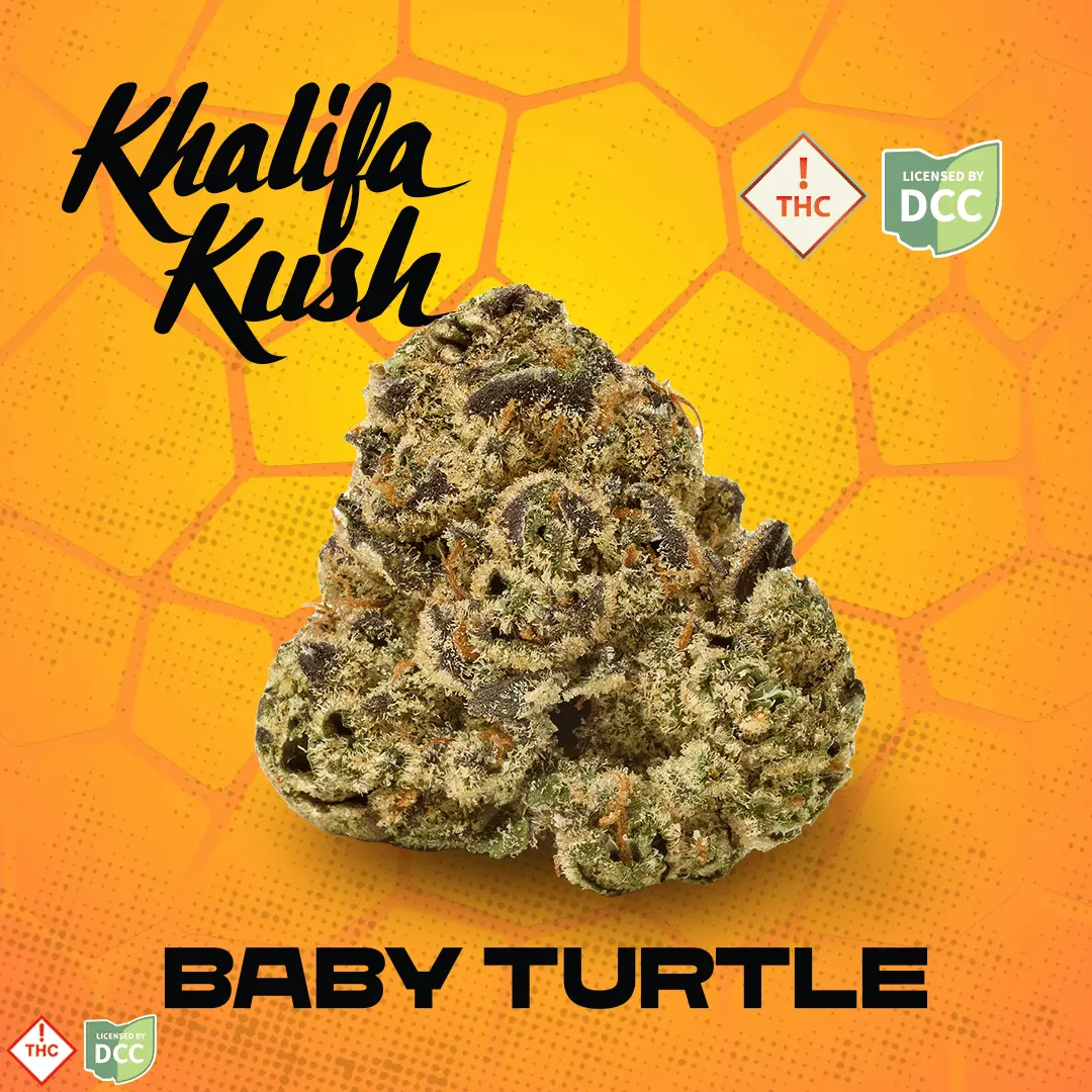 Khalifa Kush – Baby Turtle [14.15g]