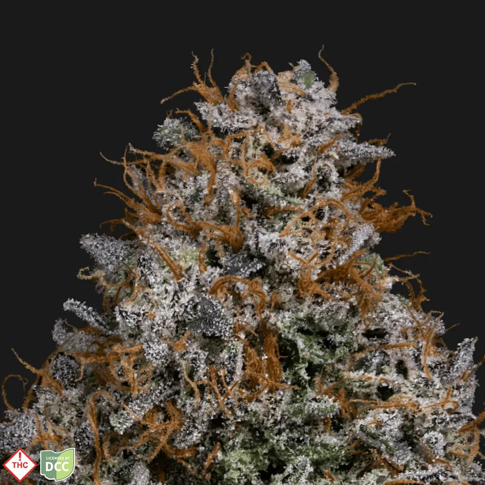 Klutch Cannabis – Rainbow Ice