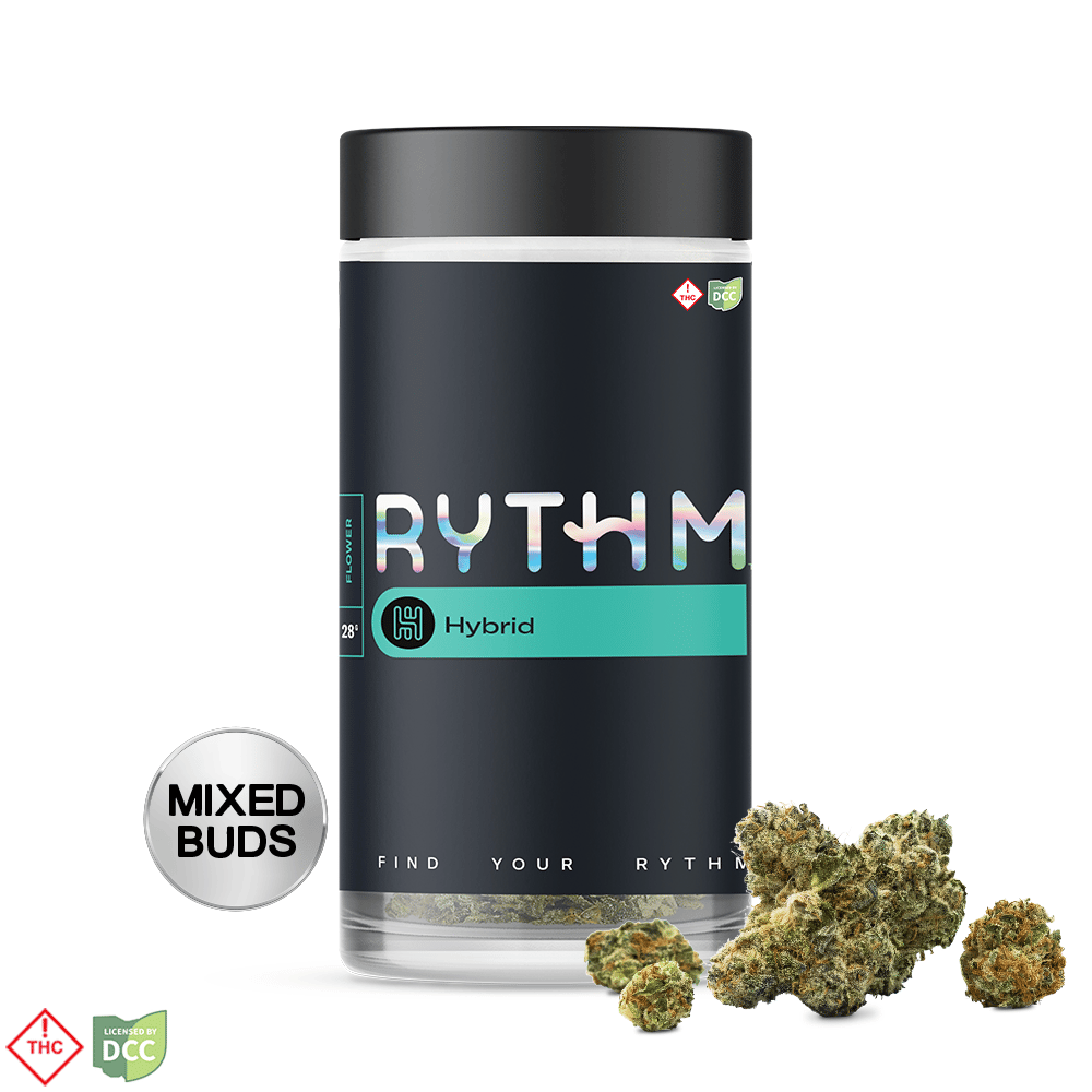 RYTHM – Bananaconda