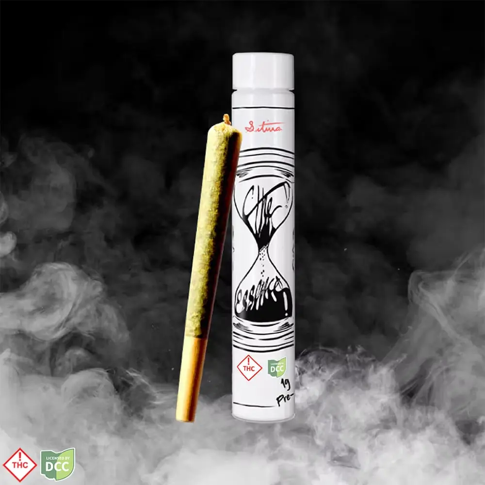 (the) Essence – Diesel Train [1g]
