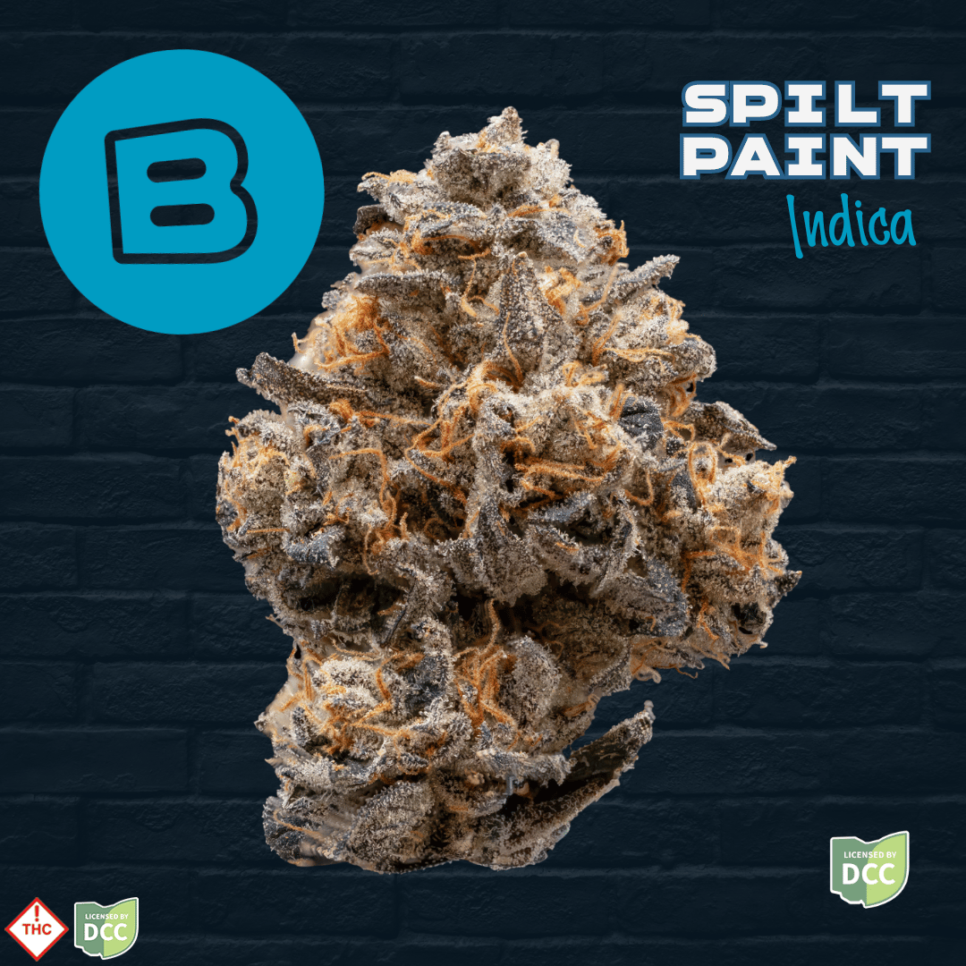 Buckeye – Spilt Paint