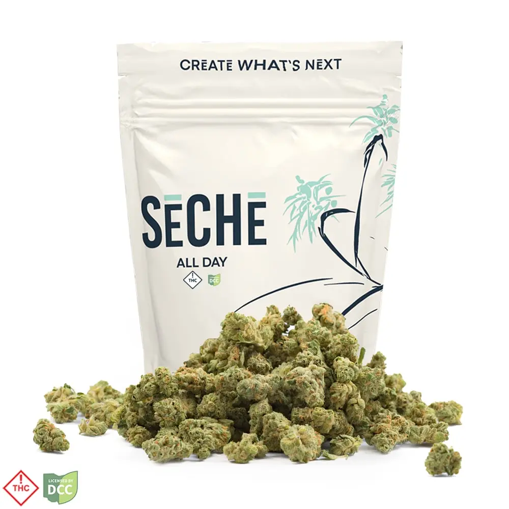 SeCHe – Jokerz