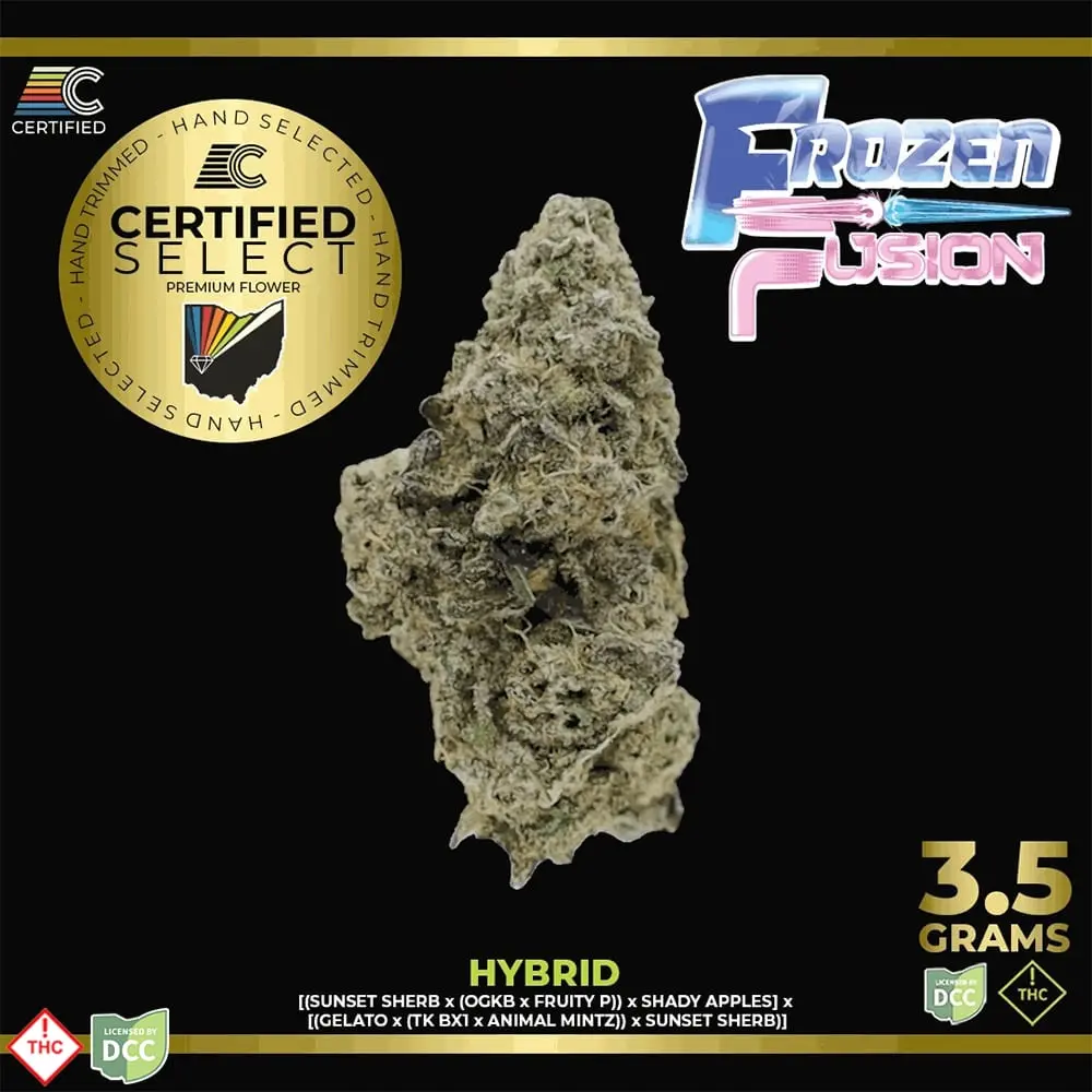 CERTIFIED – Frozen Fusion