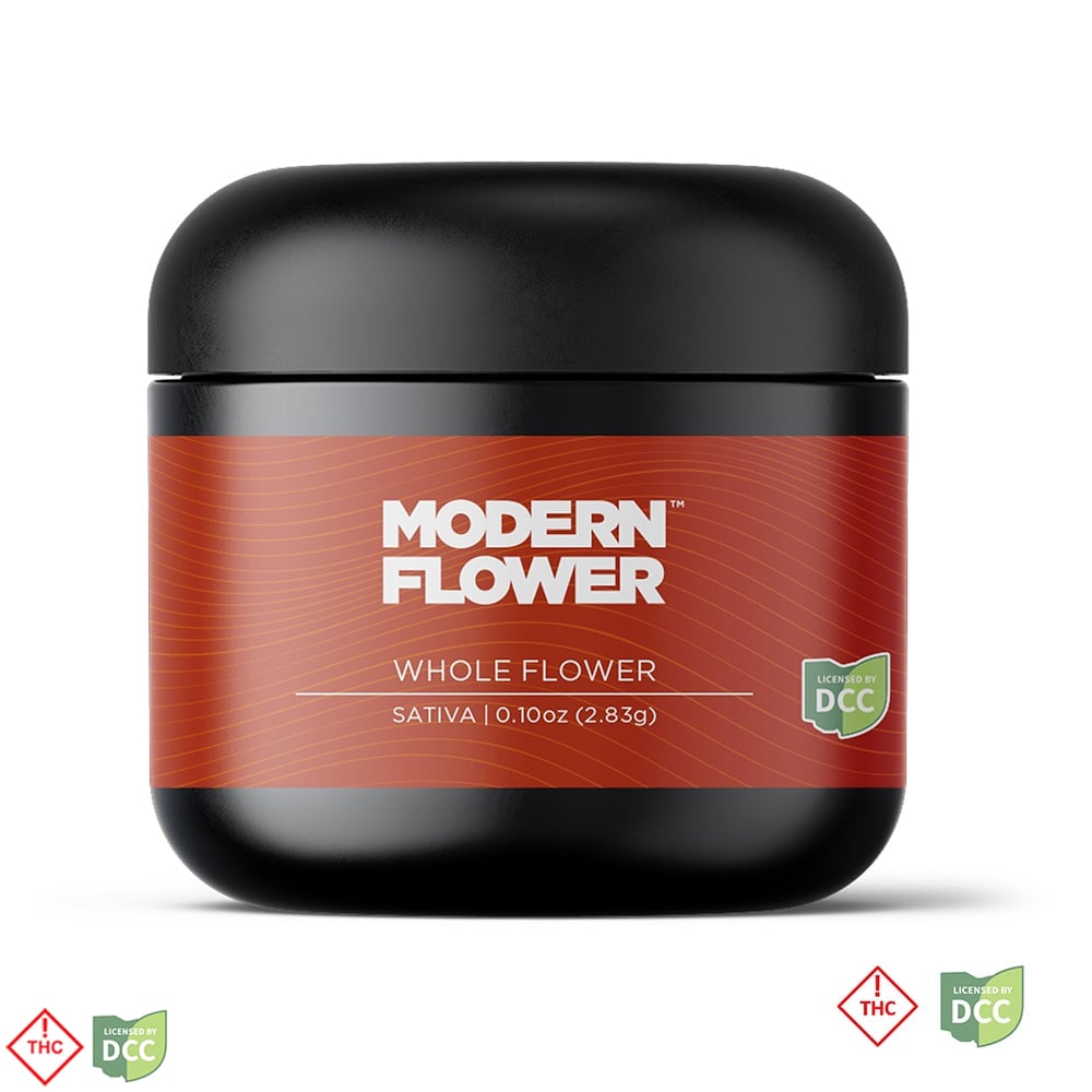 Modern Flower – Sing Sling