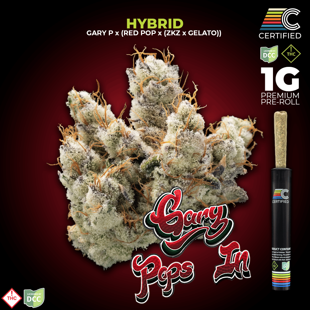 CERTIFIED – Gary Pops In [1g]