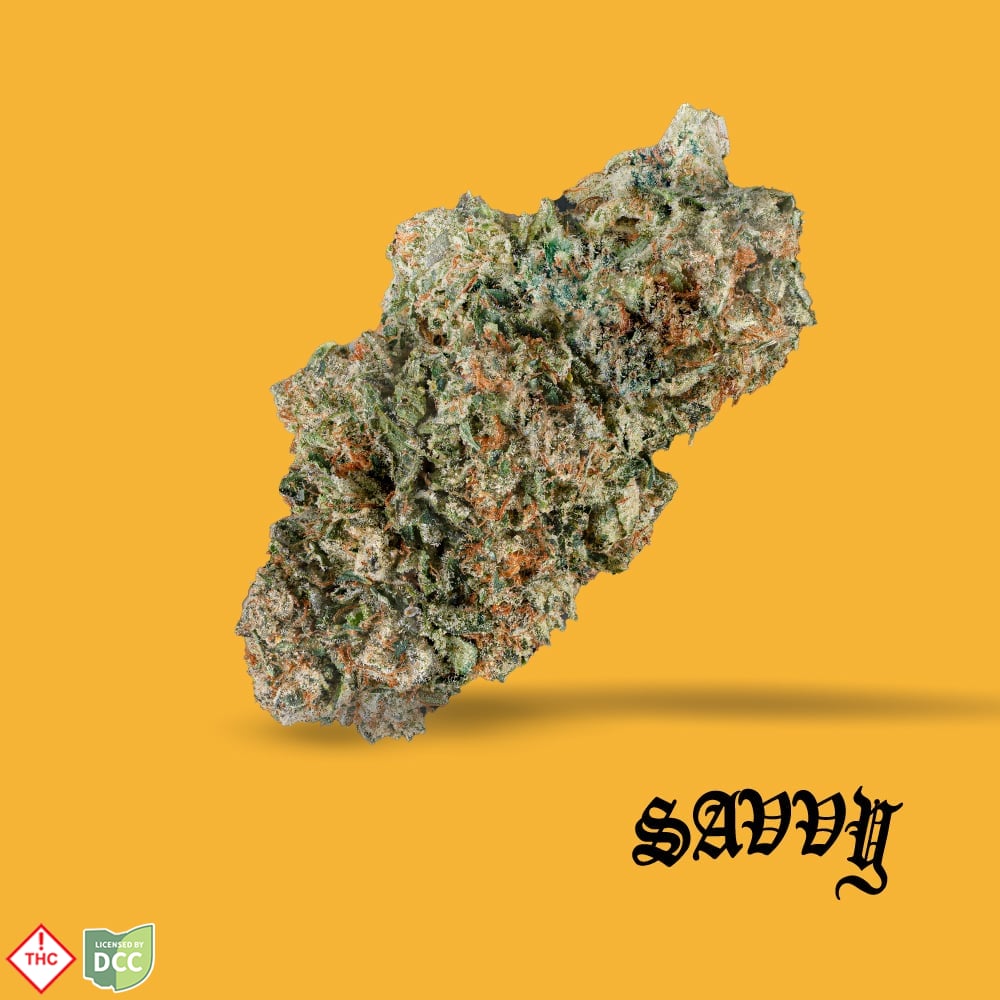 Savvy – Motorbreath