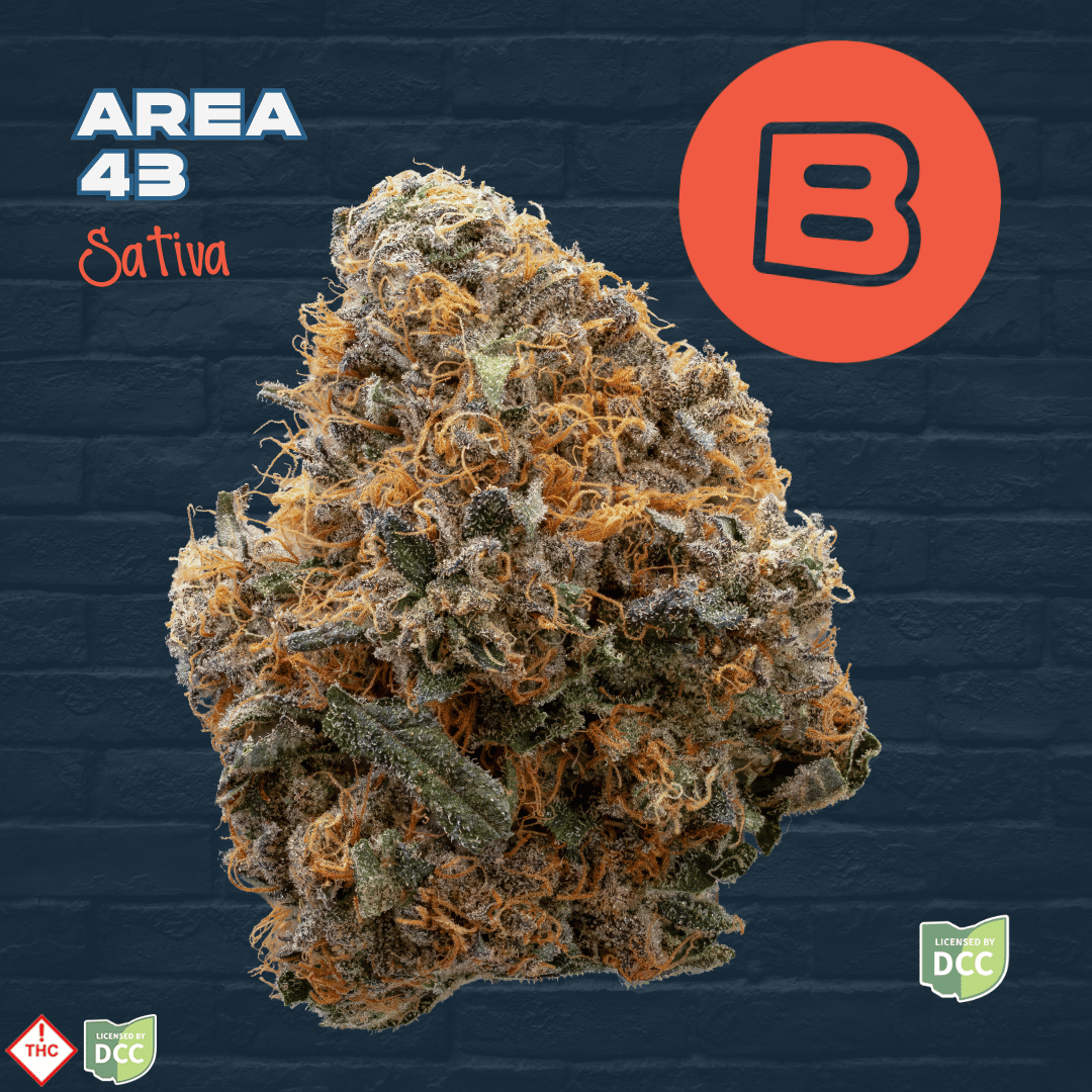 Buckeye – Area 43