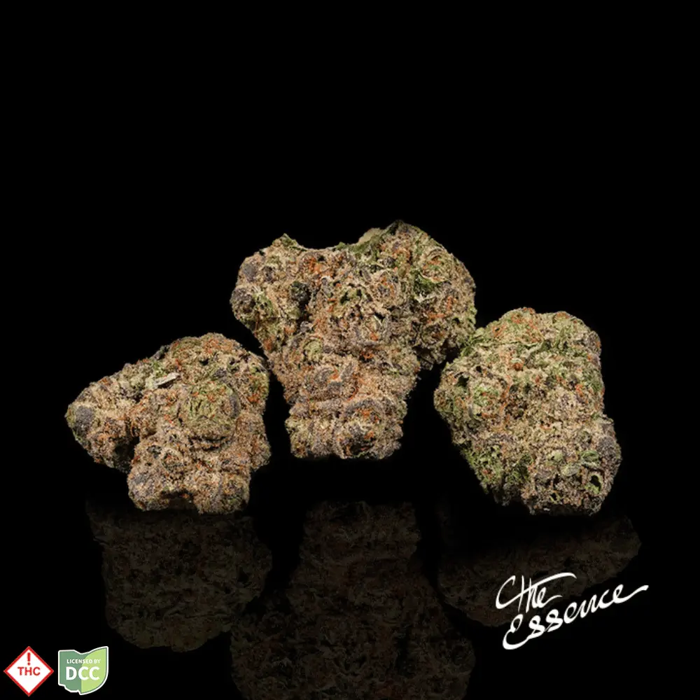 (the) Essence – Rotten Teeth
