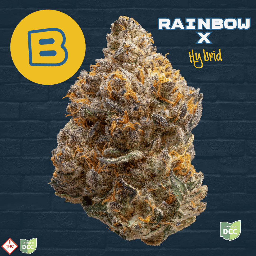 Buckeye – Rainbow X
