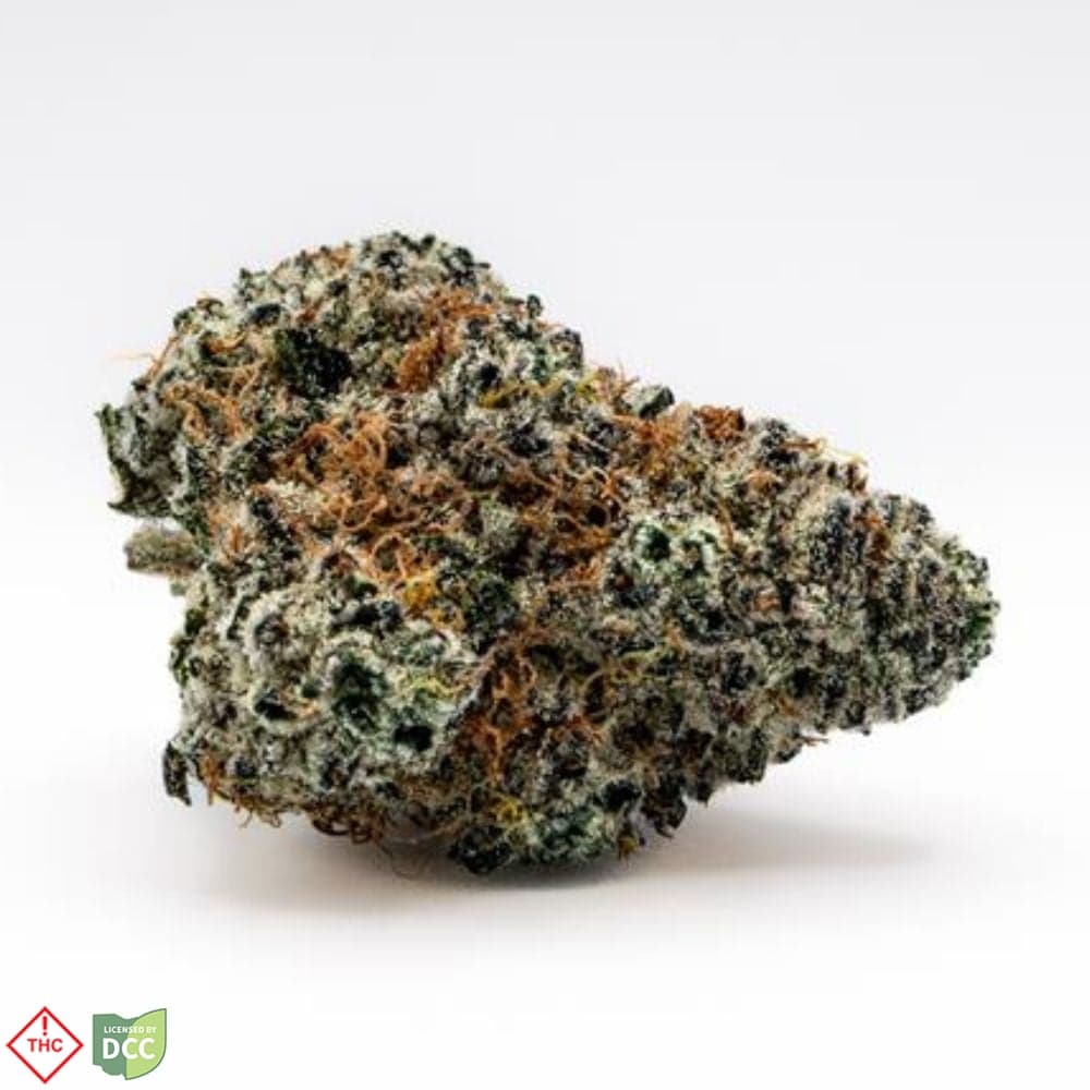 hijinks – Purple Carambola