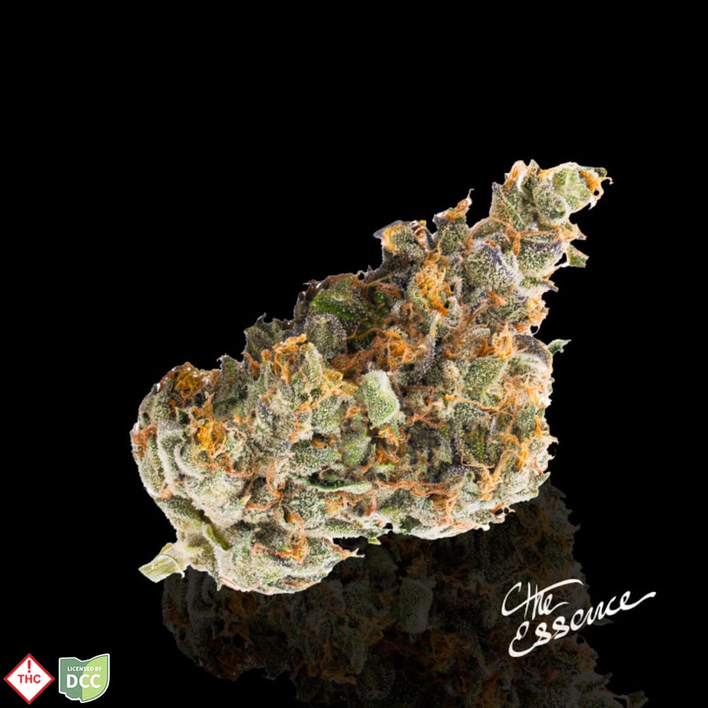 (the) Essence – GMO Jungle Cake