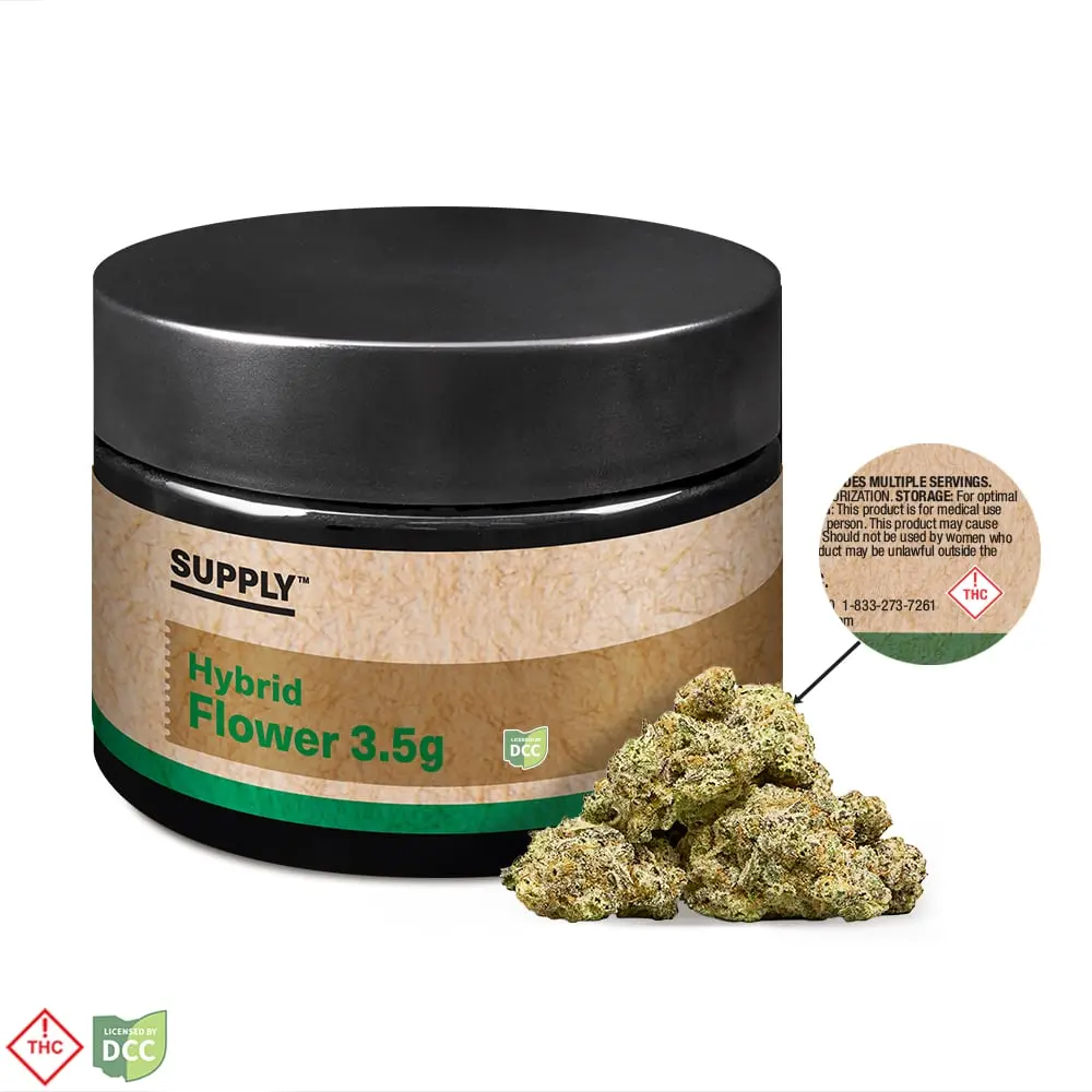 Supply™ – Blue Chek