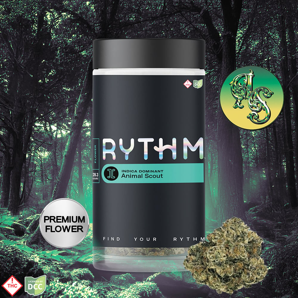 RYTHM – Animal Scout