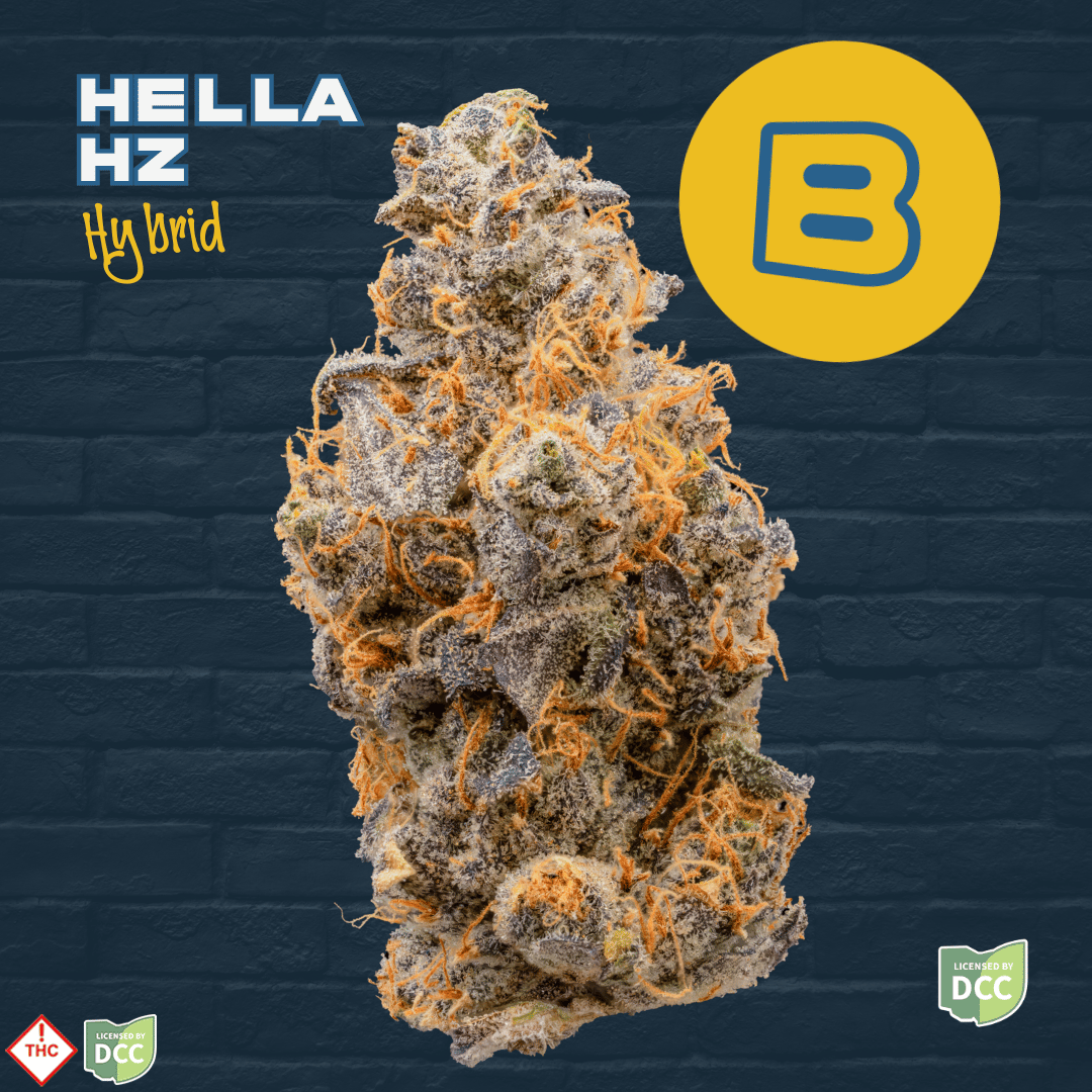 Buckeye – Hella Hz