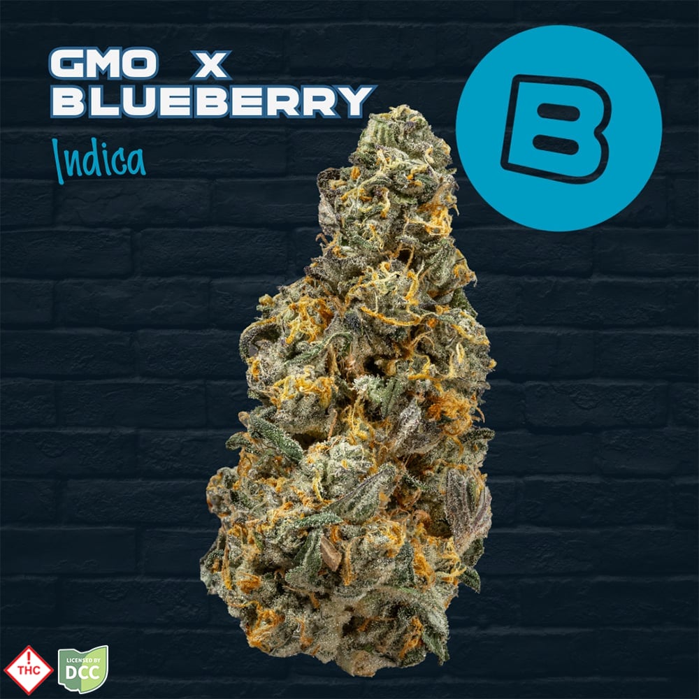 Buckeye – GMO x Blueberry