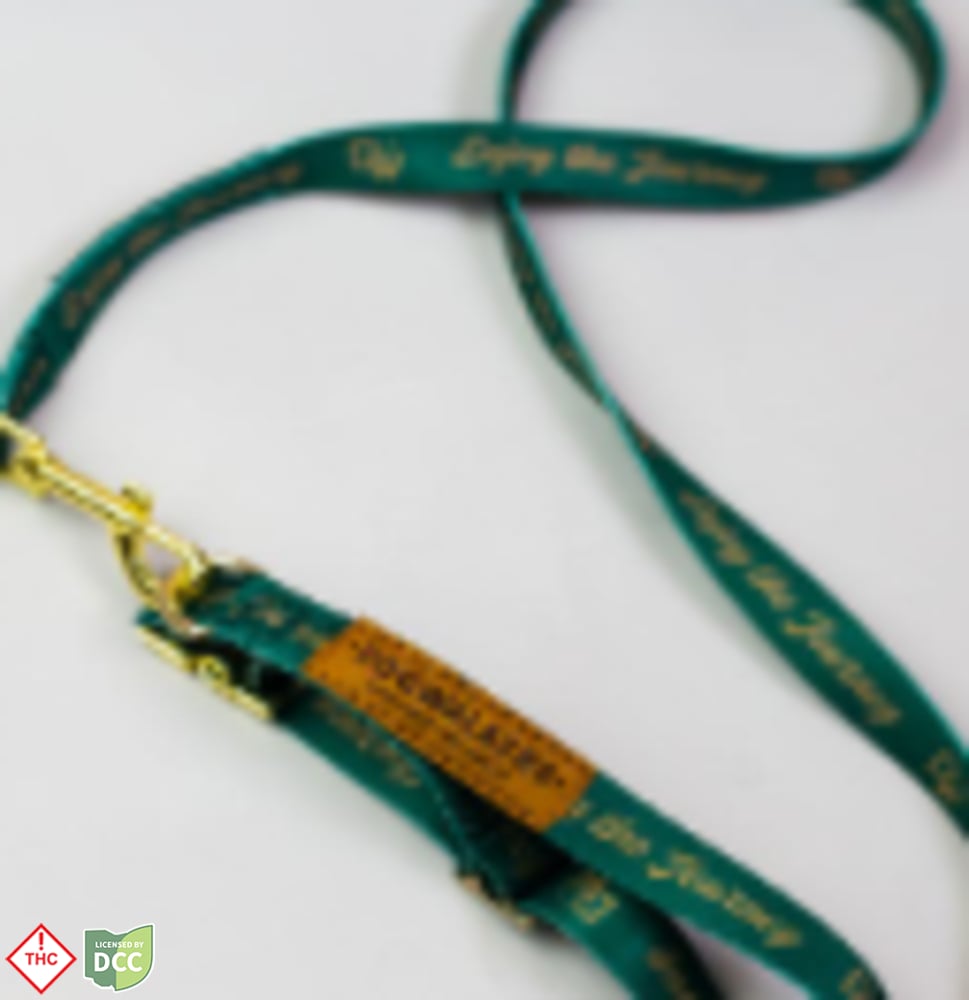 DW – Leash & Collar [S]