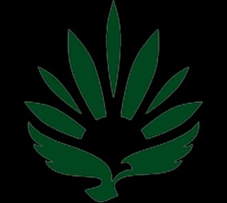 RISE LOGO